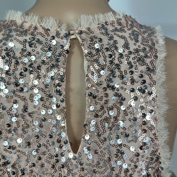 Zara Sequin Pink Beige Sleeveless Tunic Top Size S - Picture 4 of 9